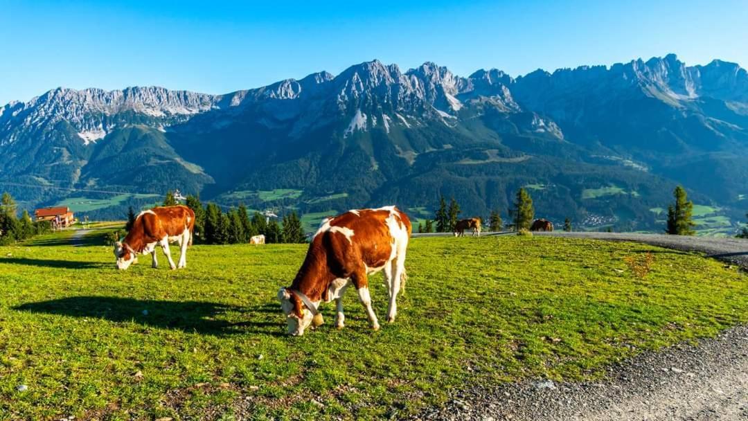 Ferienwohnung Lara Scheffau am Wilden Kaiser Exterior foto